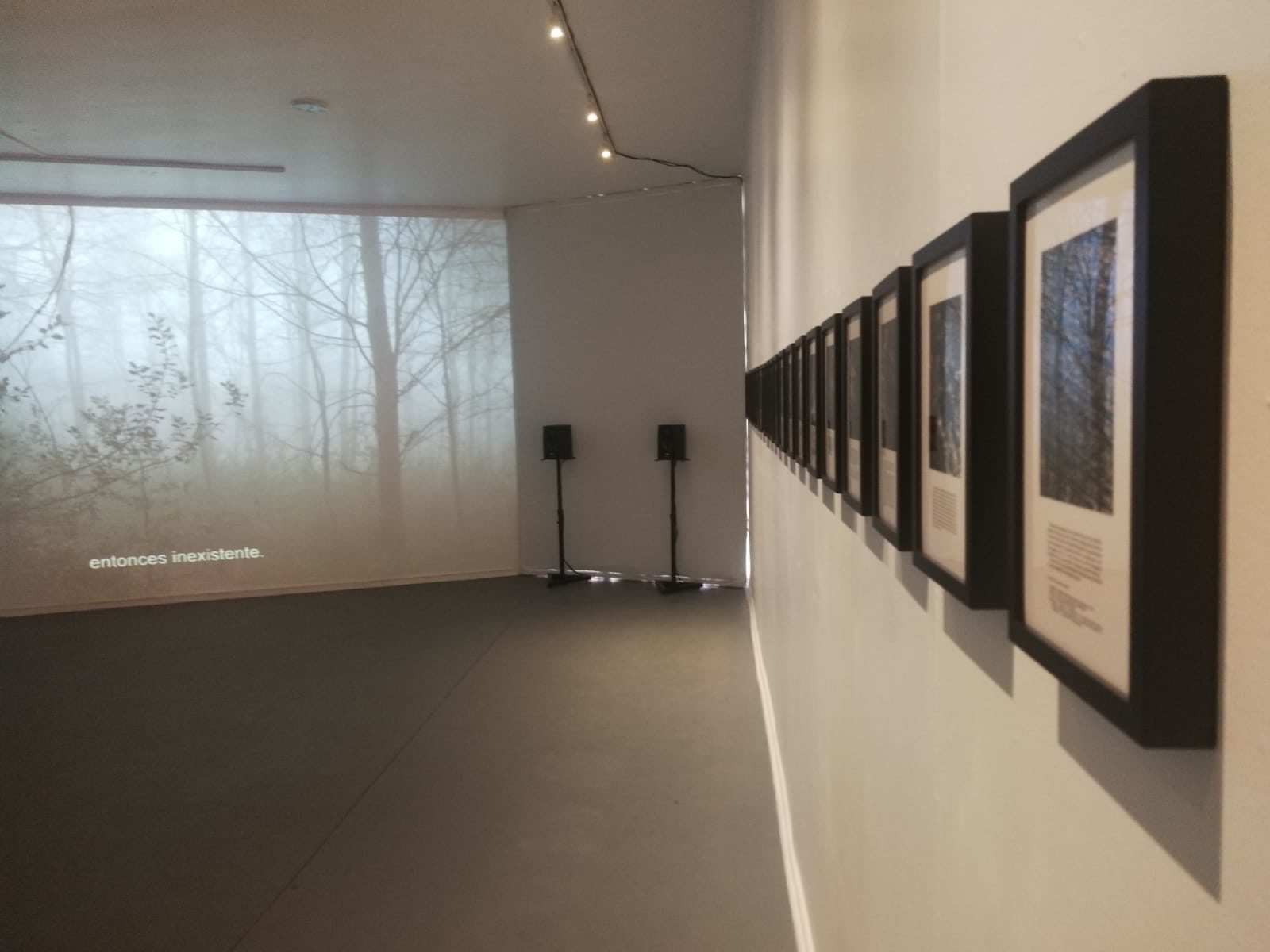 CINE EXPANDIDO: nuevo espacio del Festival de Cine de Valdivia en colaboración con FAIR